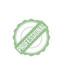 Professional Services